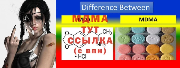 spice Верея