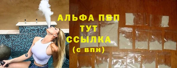 spice Верея