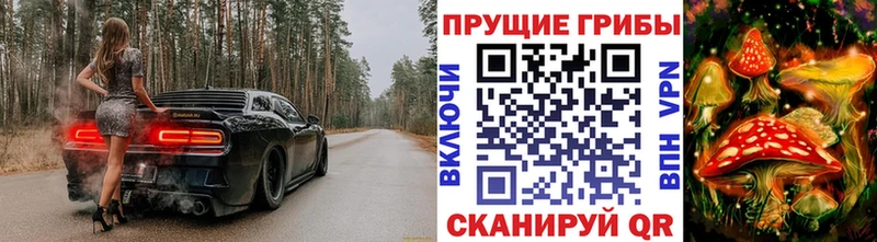 Галлюциногенные грибы прущие грибы  даркнет сайт  Катайск 